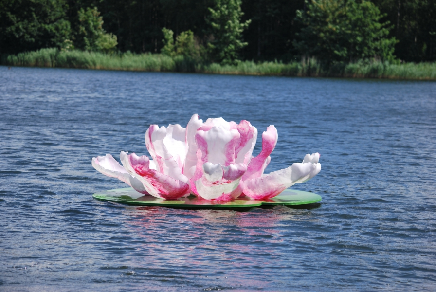 Waterlelie Water-land in Lelystad