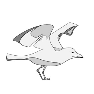 illustratie van een zeemeeuw voor de Nieuwe Aanlegdoor KREKWERK getekende zeemeeuw voor het logo van de Nieuwe aanleg